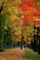 Parco colori d autunno
