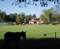 Cascina Mulini S Giorgio