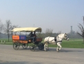 Gita in Carrozza