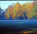 colori nel Parco